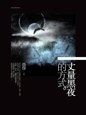 cover image of 丈量黑夜的方式
